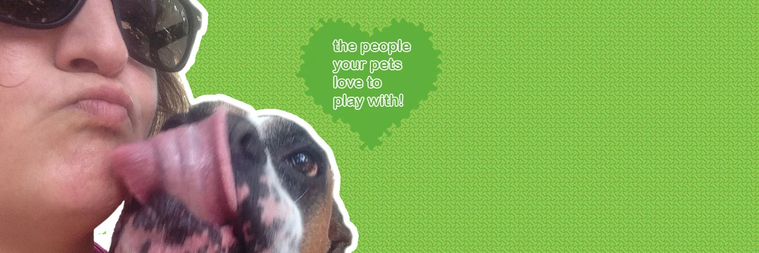 banner4.jpg
