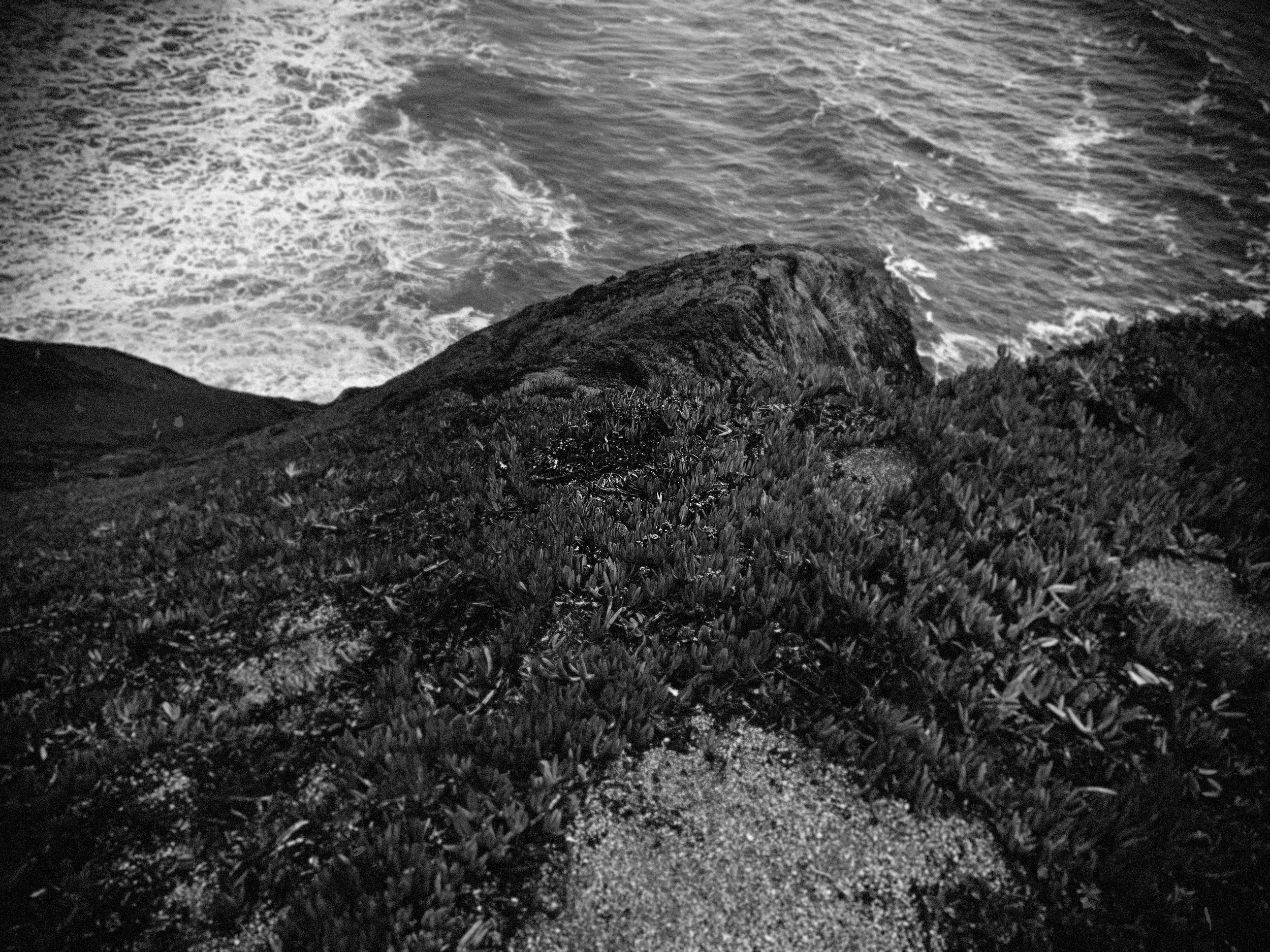 IMG_0332.jpeg