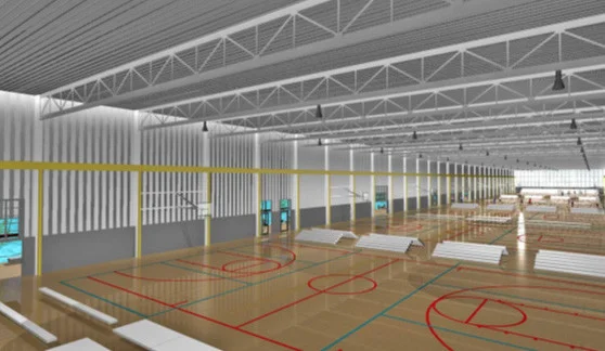 DSC_Basketball_Rendering.jpg