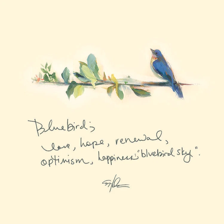 3FC0B1F8-9DBB-47C9-BCF1-55CD1CAAD717