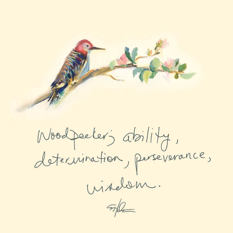 CB5FB633-F76C-405D-9FDA-609182883828