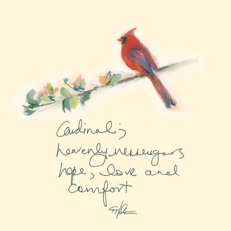 D92604C3-8849-4CDF-8844-54E7267B3A8F