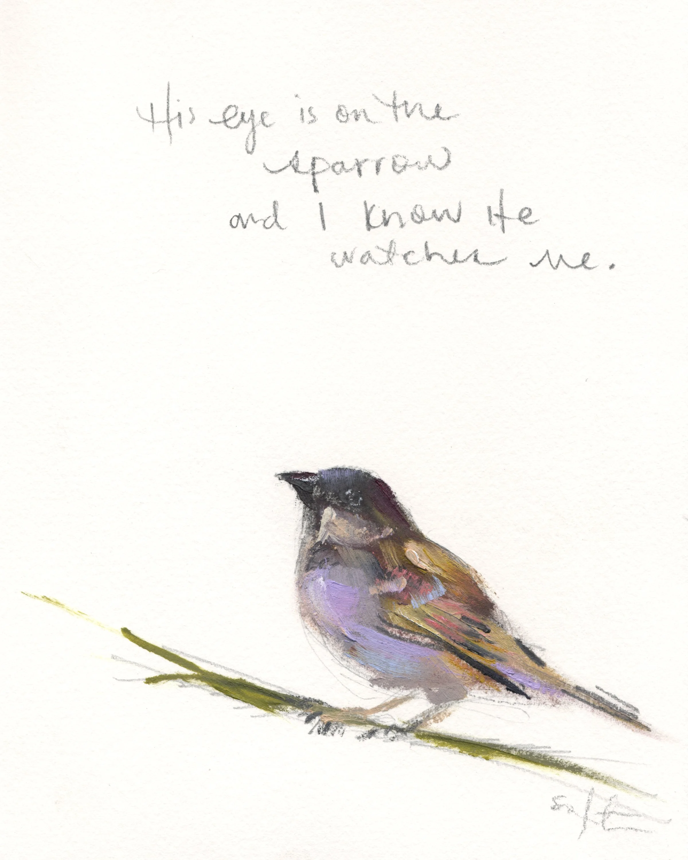 Sparrow 8x10%22 .jpg