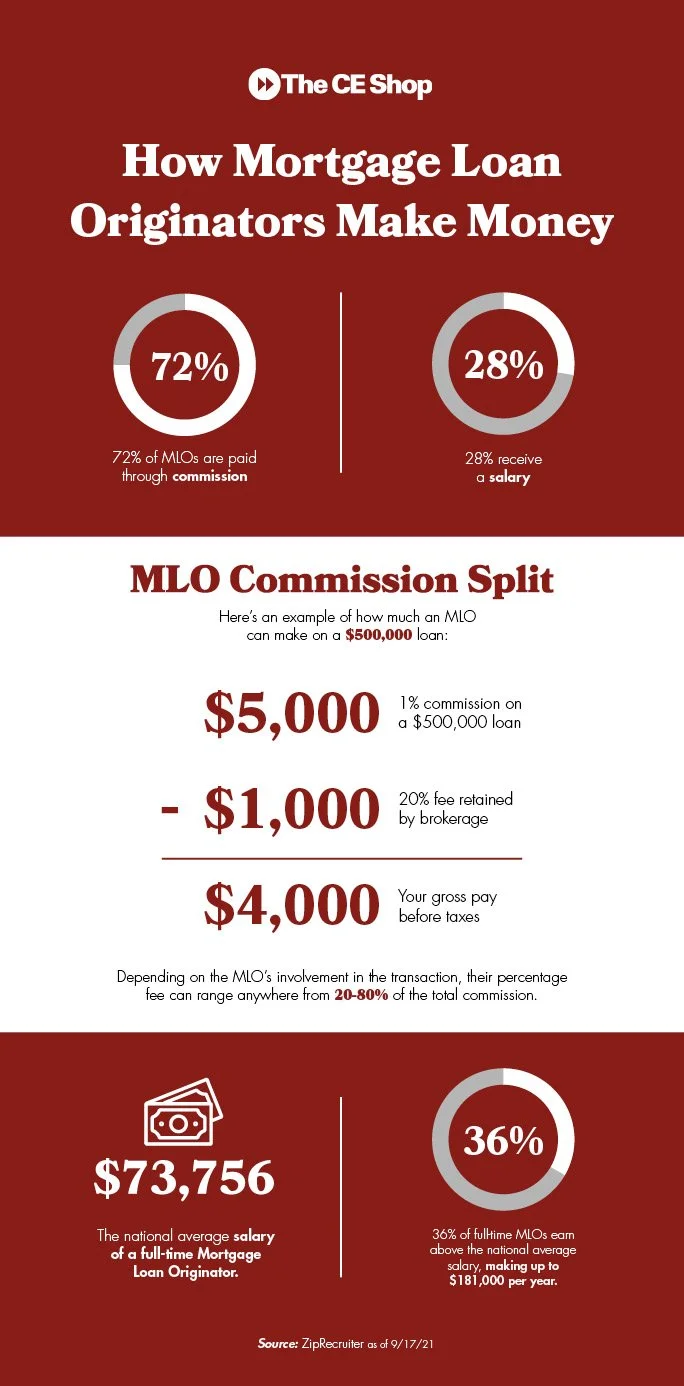 MLO-Money-Infographic.jpg