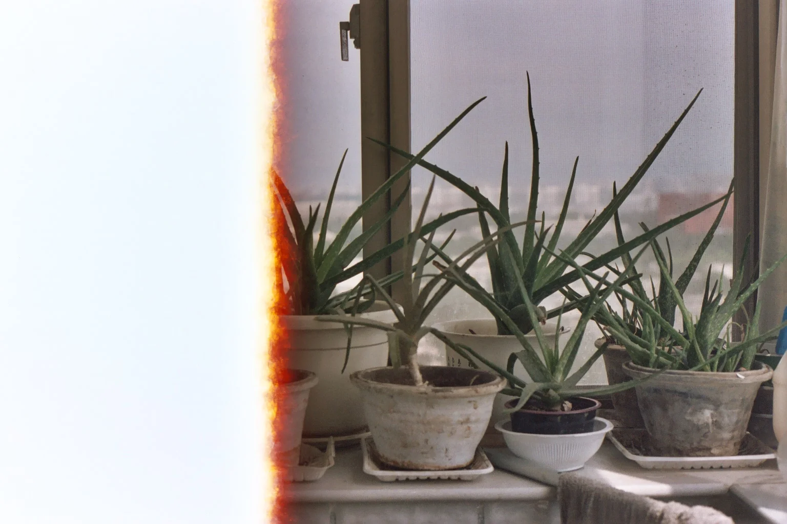 001_X.JPG