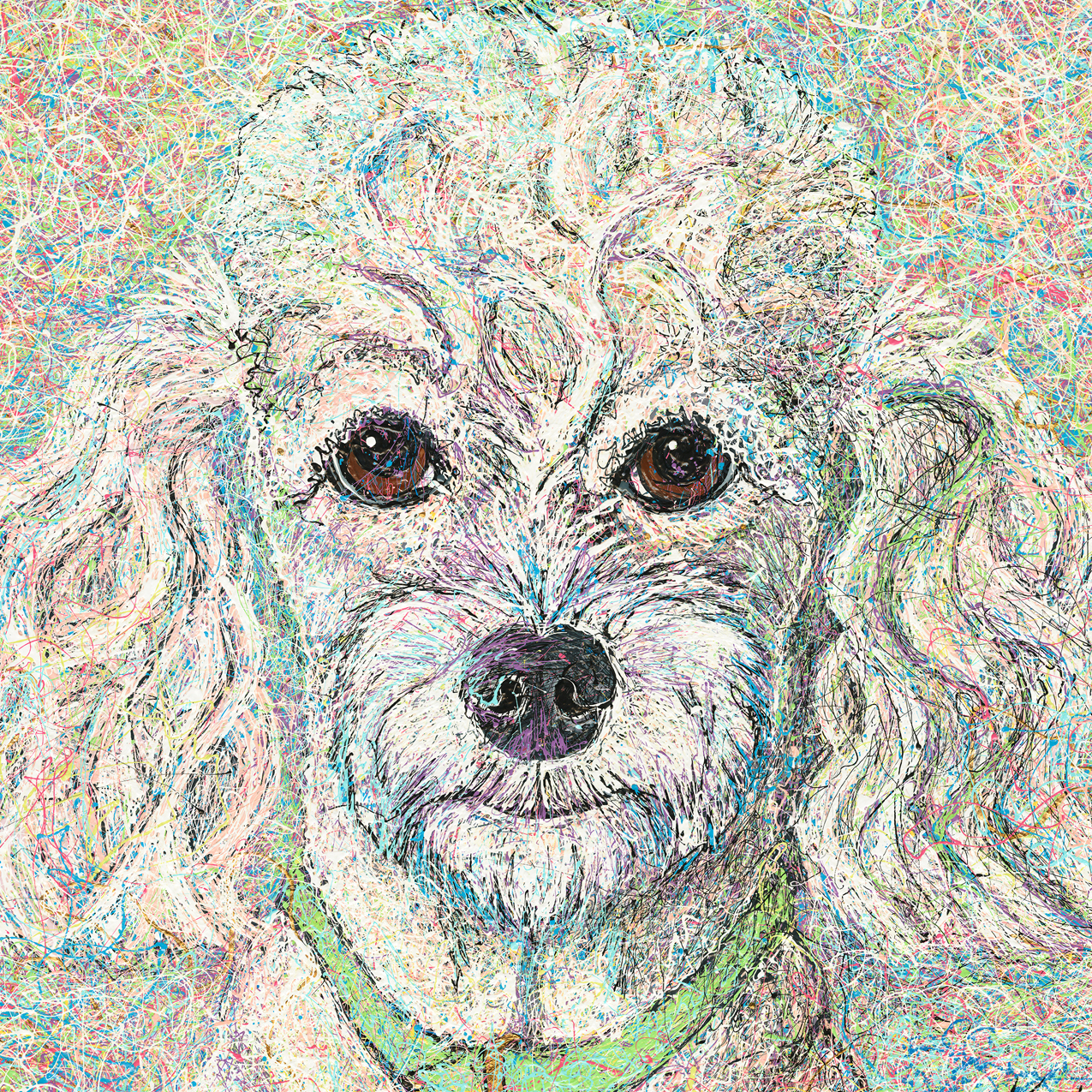 dripsquarepoodle.jpg