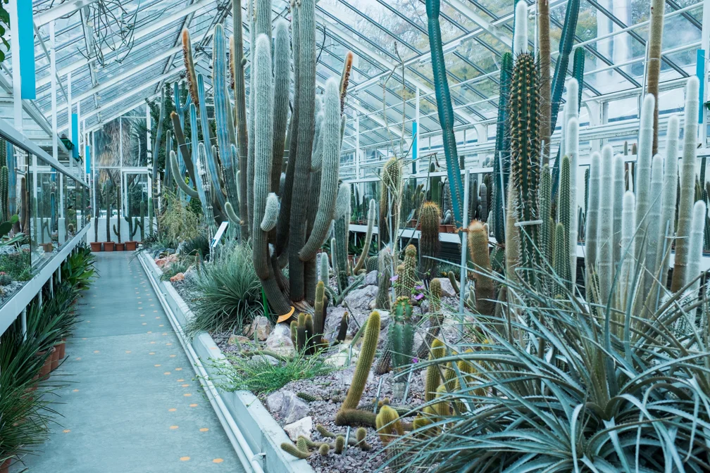 SUCCULENT HEAVEN AT SUKKULENTEN-SAMMLUNG ZÜRICH