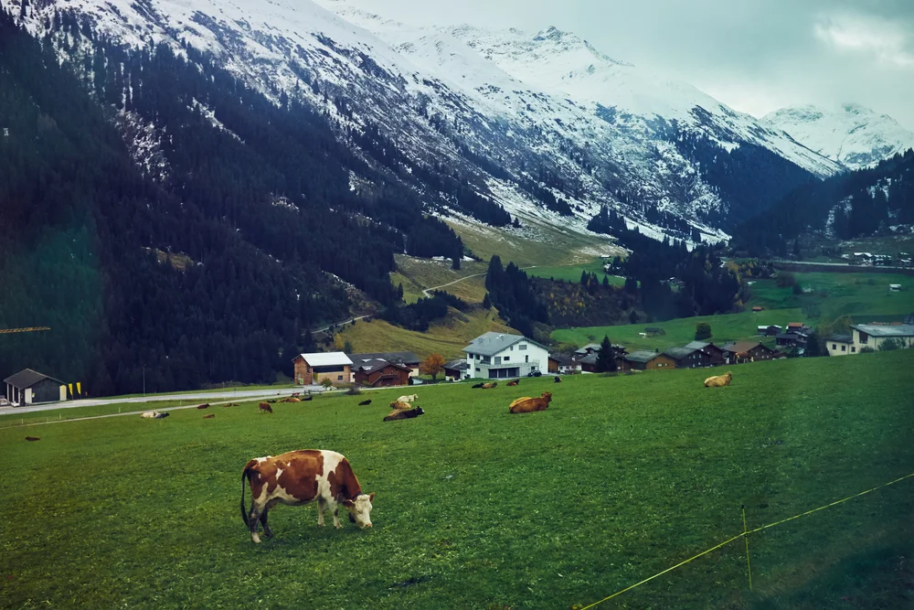 20151002_Italy_AG_2673_print.jpg