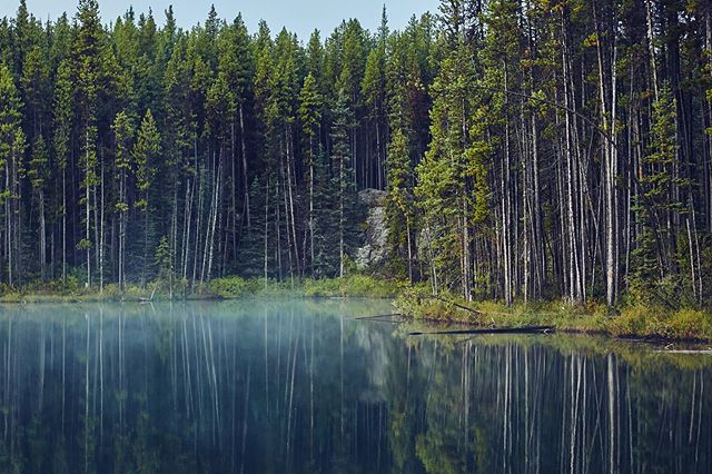 Herbert Lake, the first stop along the Icefields Parkway.
.
.
.
#banff #banffnationalpark #alberta #travelalberta #outdoors #adventure #herbertlake #hiking #roadtrip #scenicroute