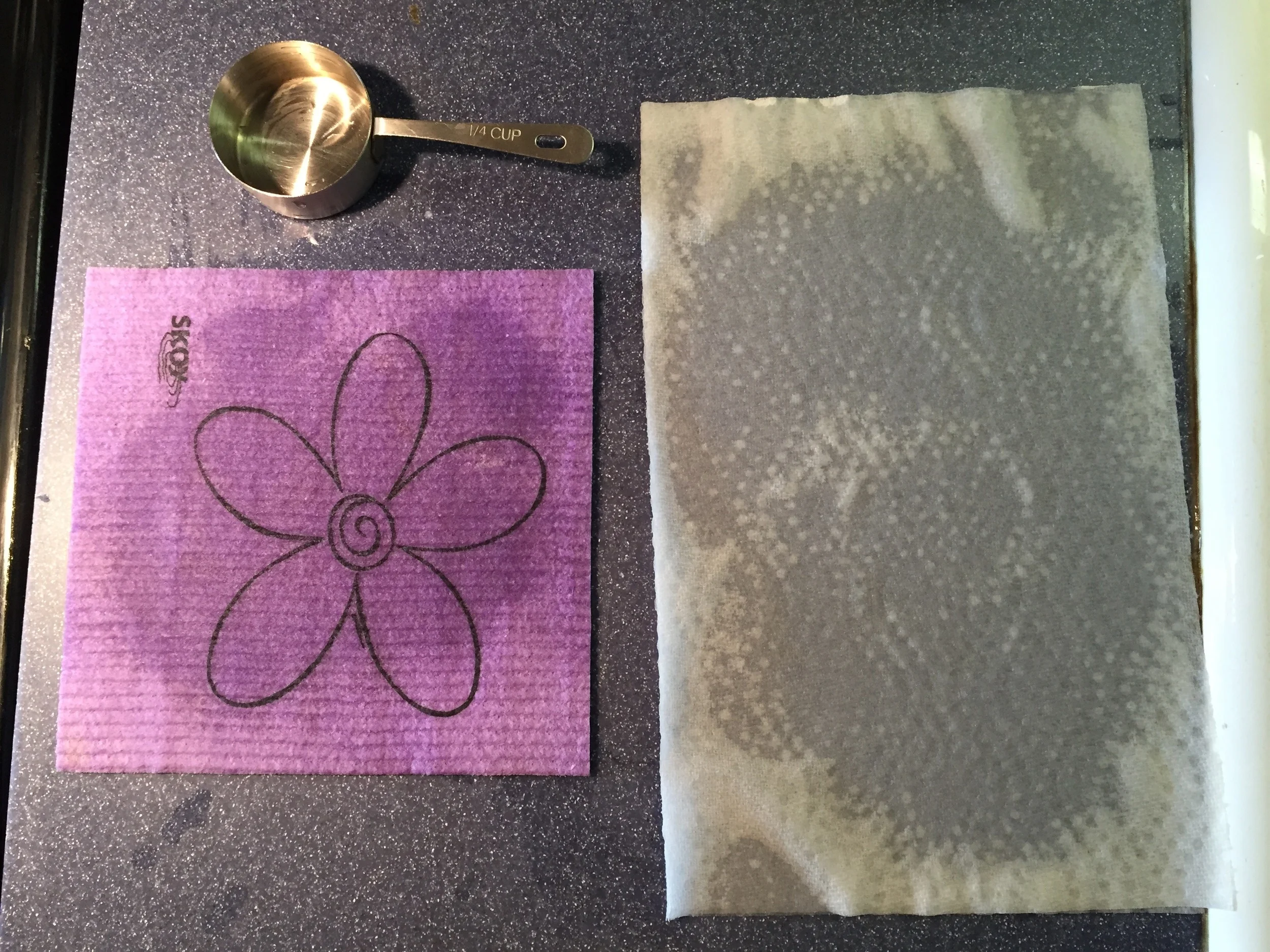 Skoy Cloth vs. 2 sheets of Kirkland Paper Towels after pouring 1/4 cup of water.
