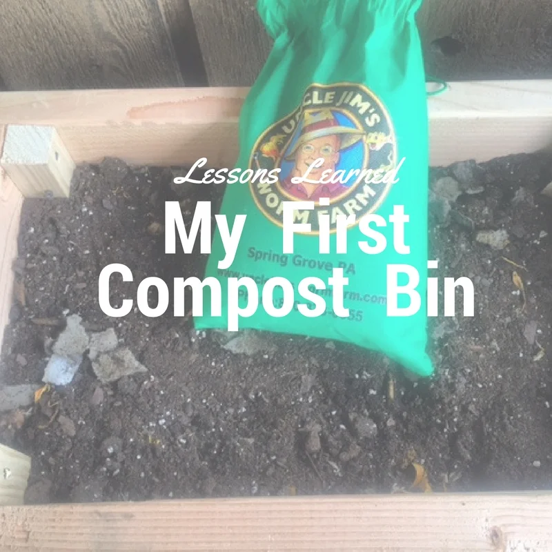 Lessons Learned From My First Worm Compost Bin