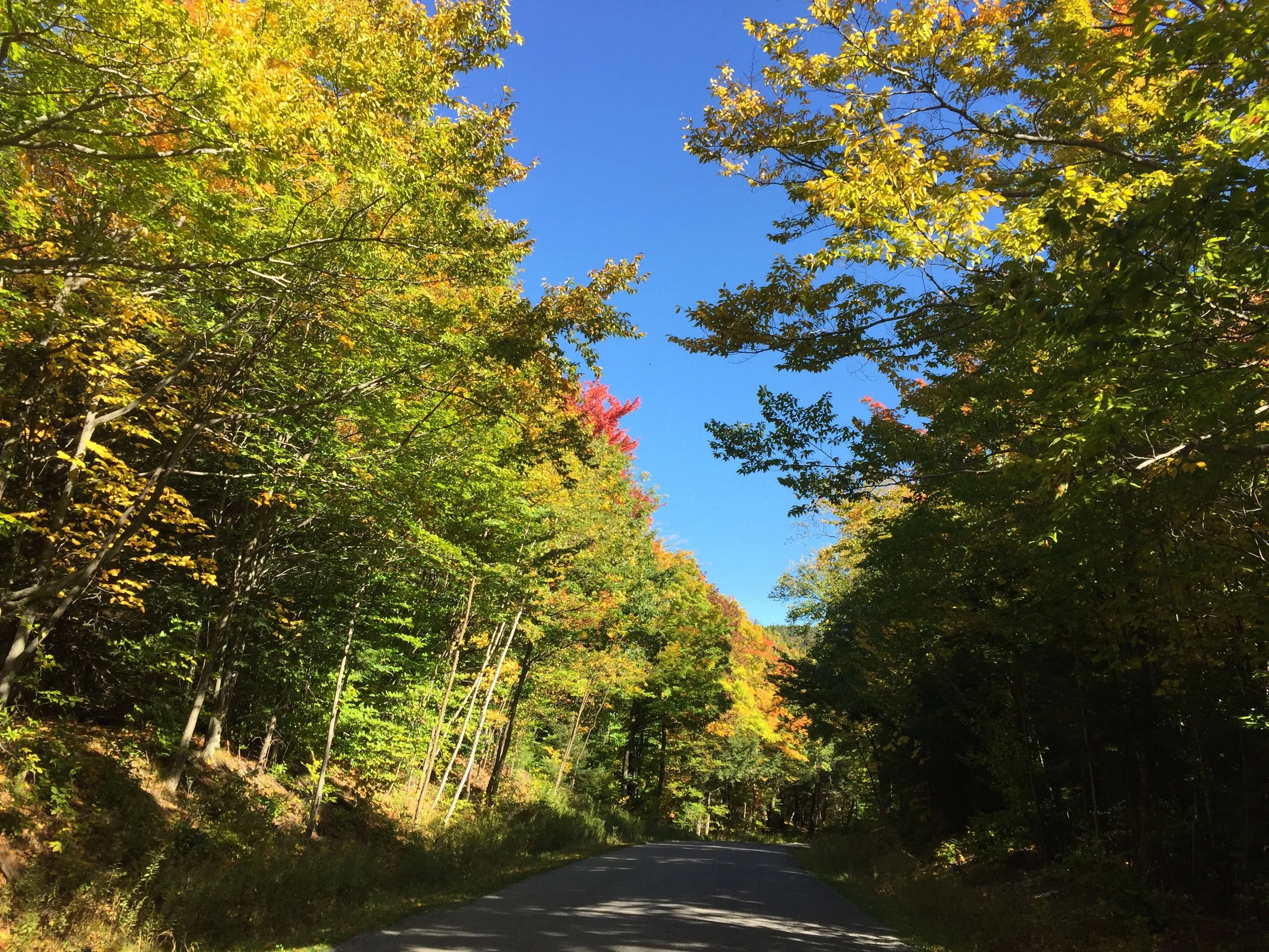 Fall foliage in the Catskills is amazing.