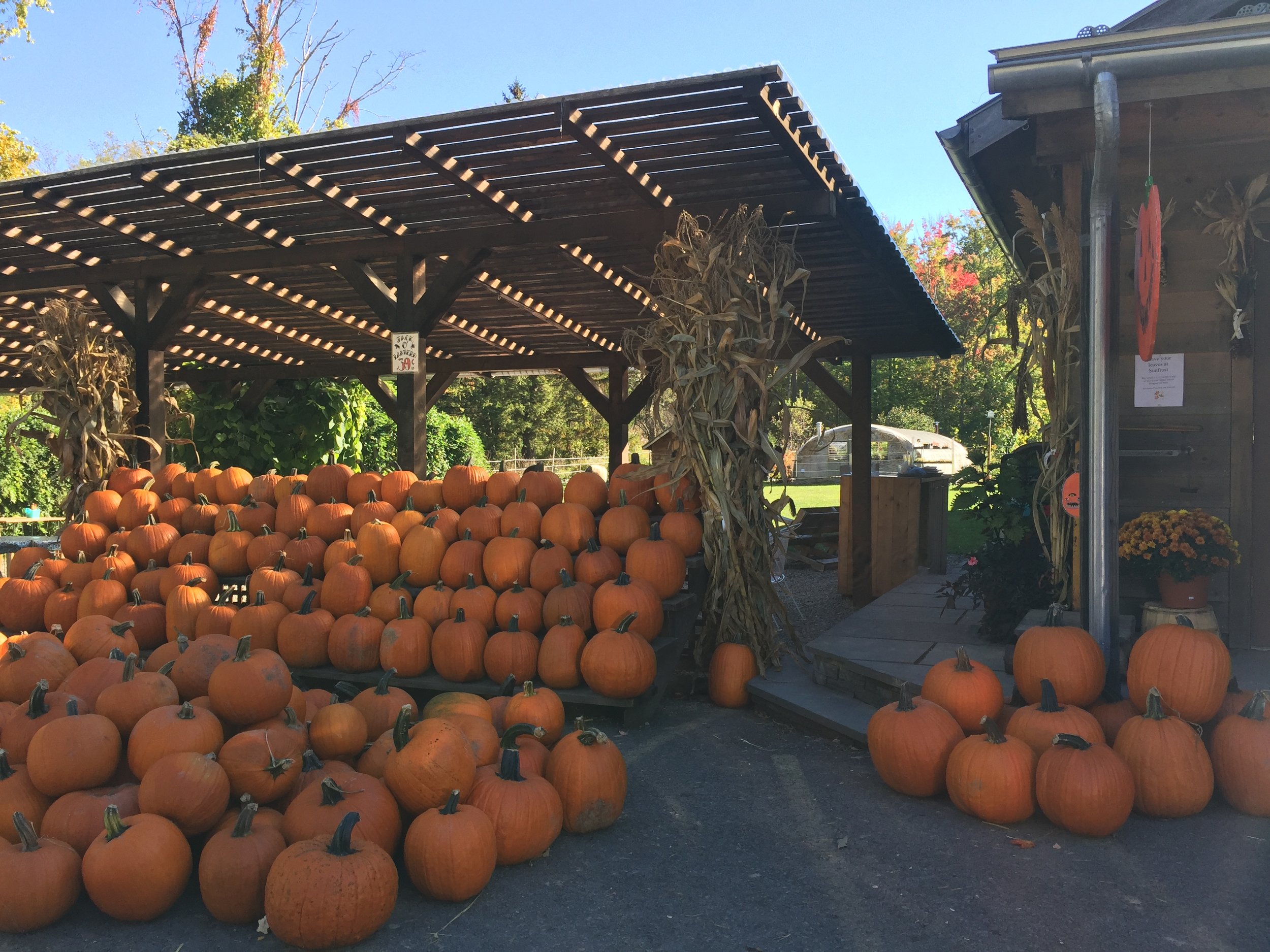 Car Camping In The Catskills — The Do Something Project