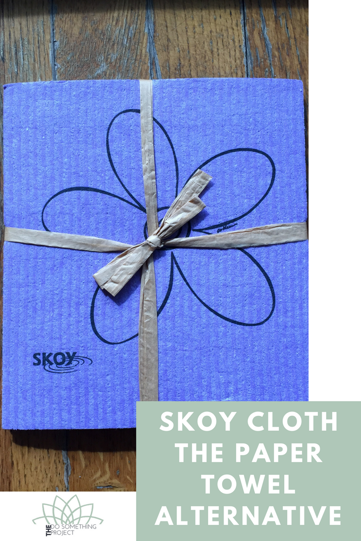 Product Review: Skoy Cloths (Paper Towel Alternative)