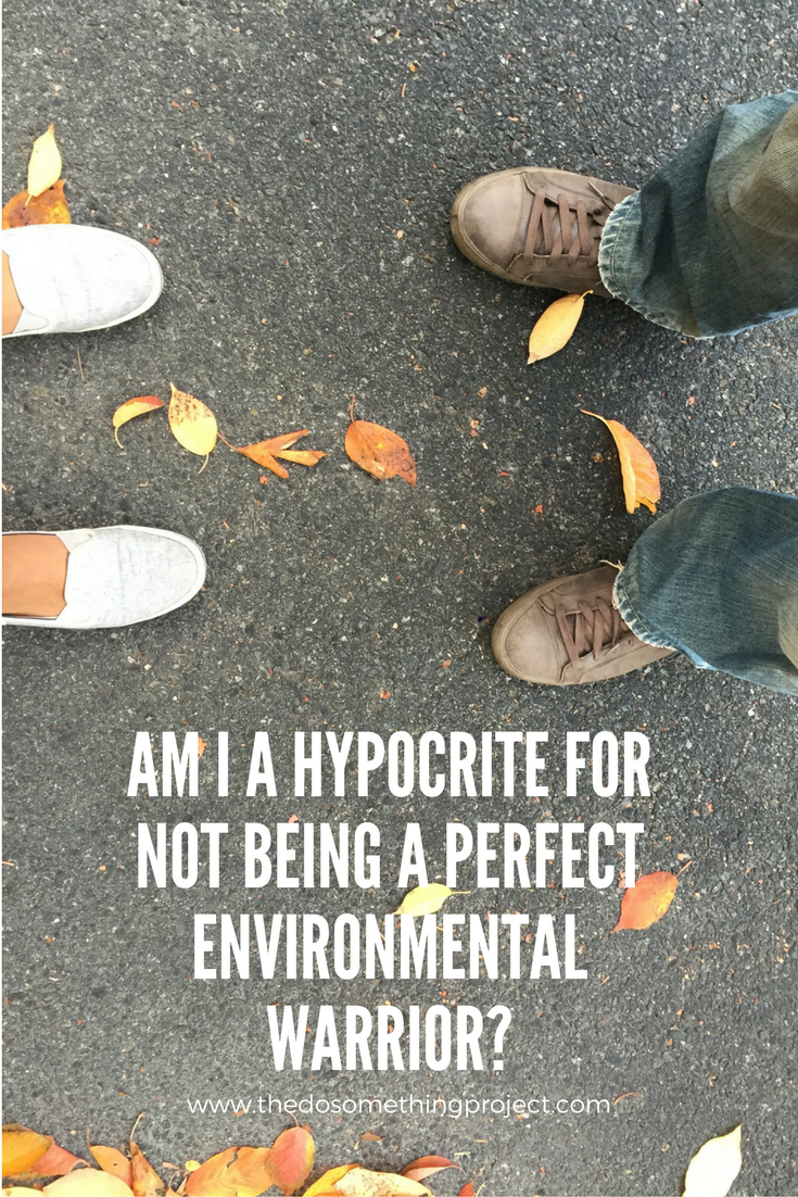 Am I A Hypocrite For Not Being a Perfect Environmental Warrior? — The ...