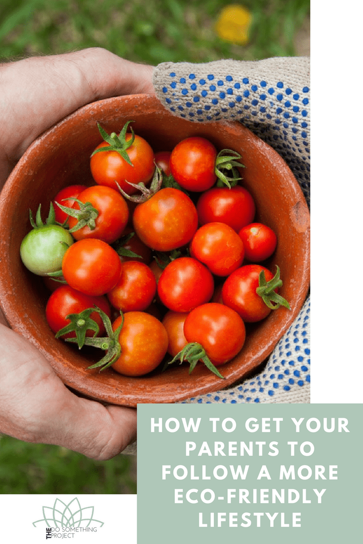 How to get your parents to follow a more eco-friendly lifestyle