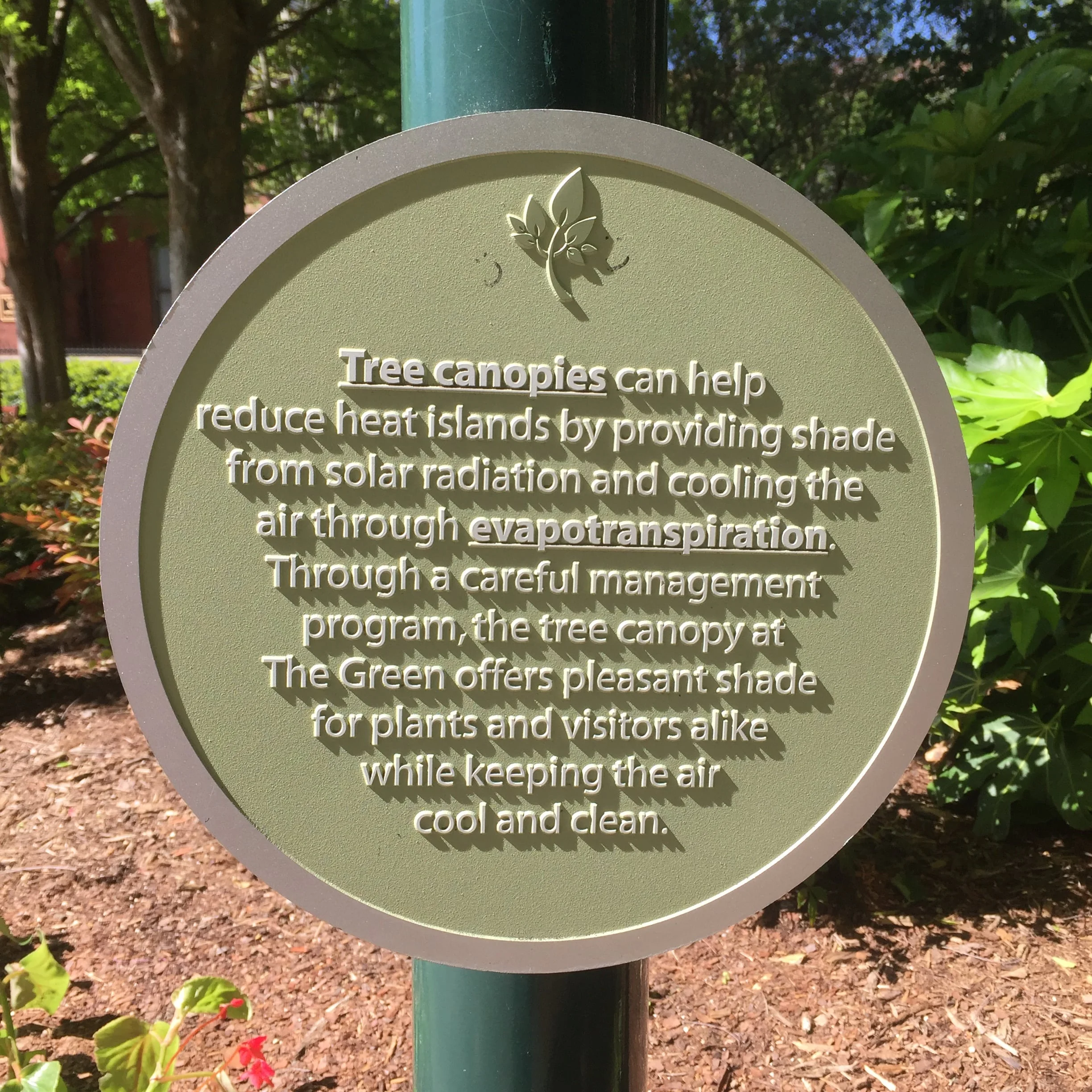 Charlotte sustainability signs on tree canopies.