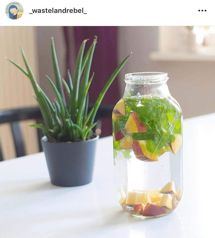 Infusing All Kinds of Fruit & Vegetables to Make Water Easier to Drink ( @_ wastelandrebel _ )