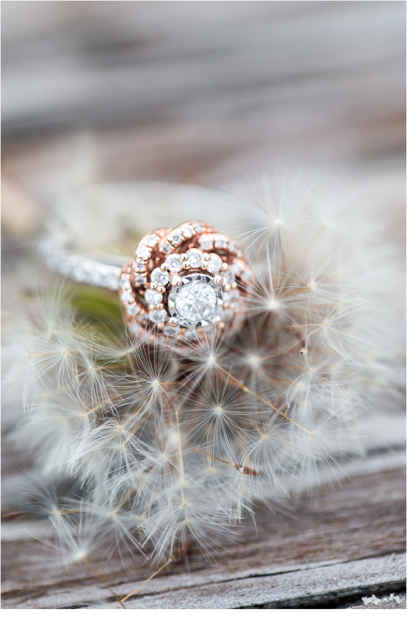 Rainey_Gregg_Photography_St._Simons_Island_Georgia_California_Wedding_Portrait_Photography_0559.jpg