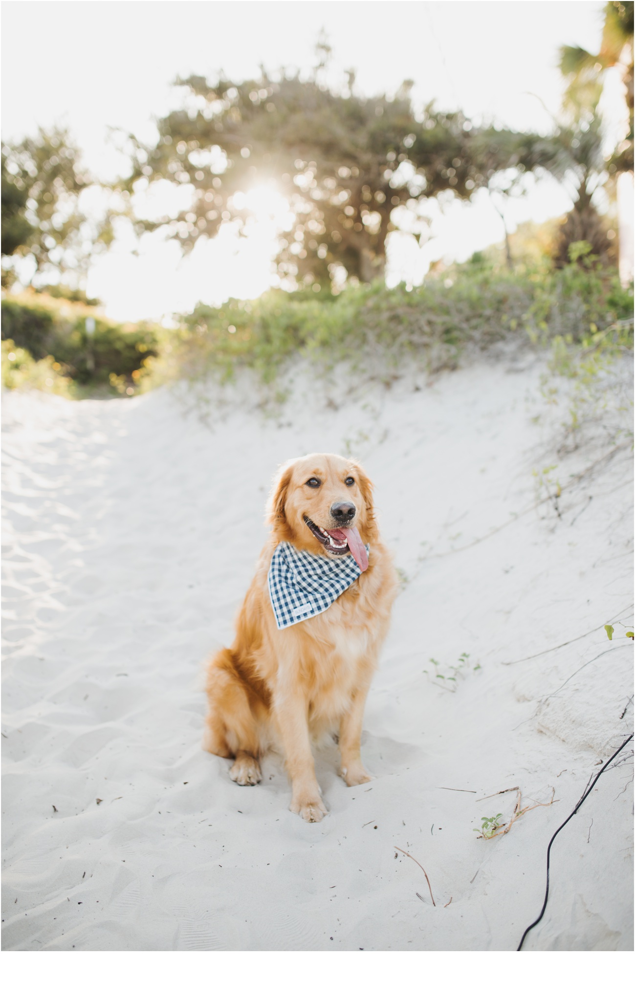 Rainey_Gregg_Photography_St._Simons_Island_Georgia_California_Wedding_Portrait_Photography_1154.jpg