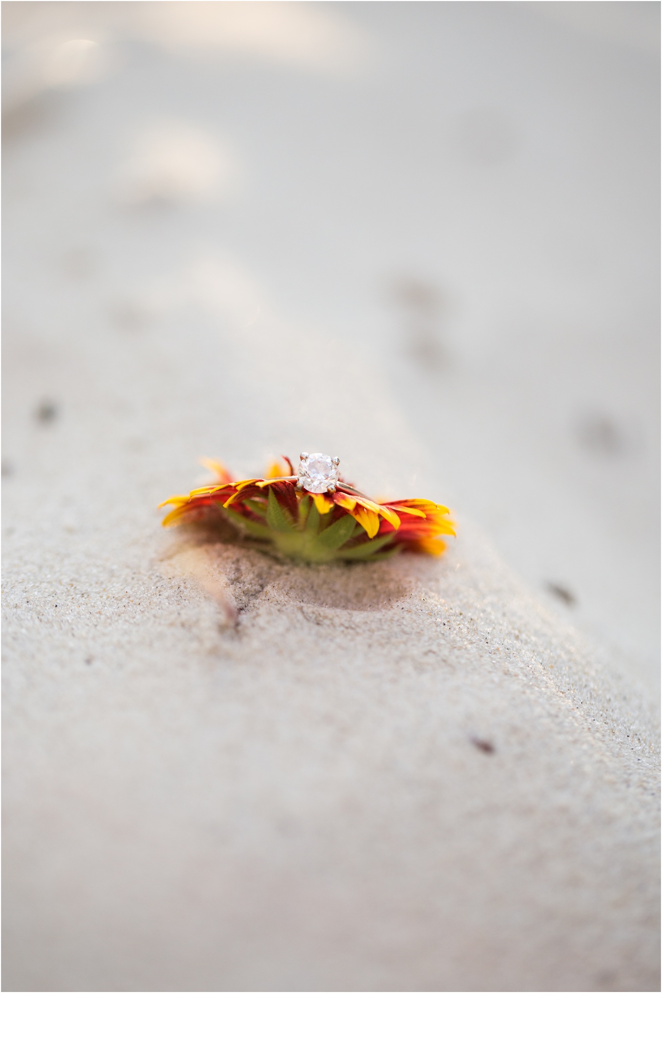 Rainey_Gregg_Photography_St._Simons_Island_Georgia_California_Wedding_Portrait_Photography_1158.jpg