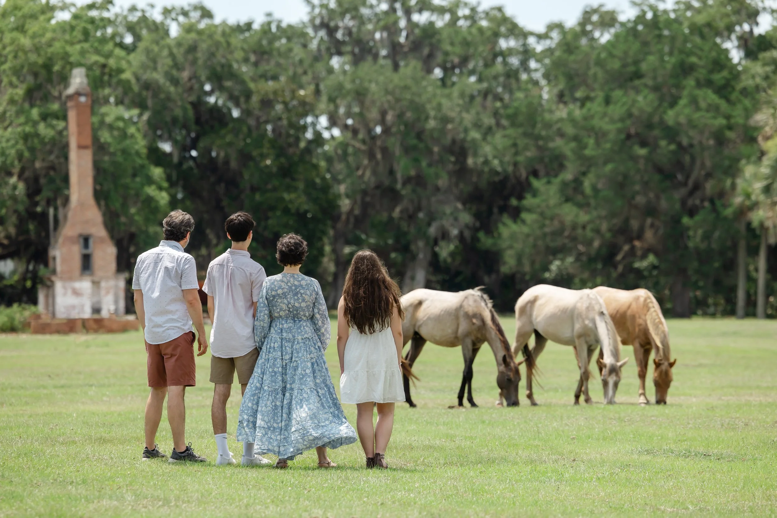 Cumberland Photography