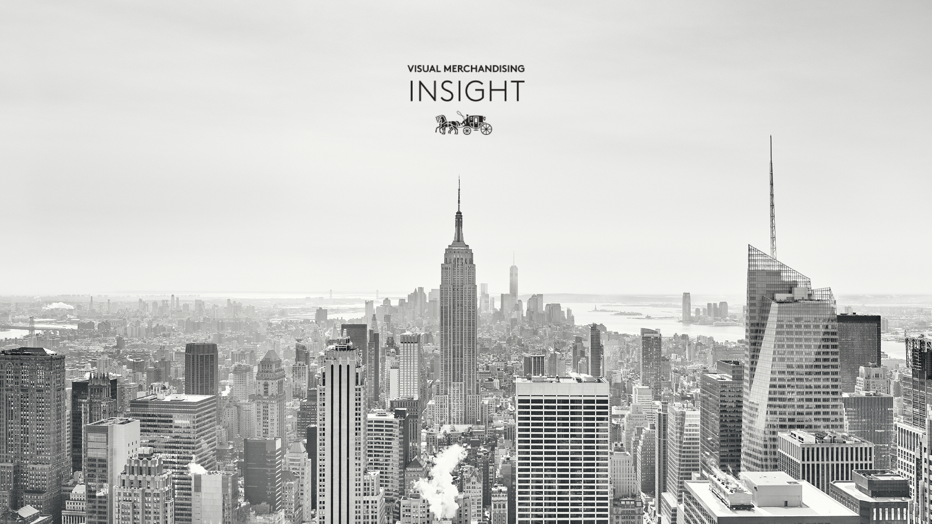 Visual Merchandising Insight