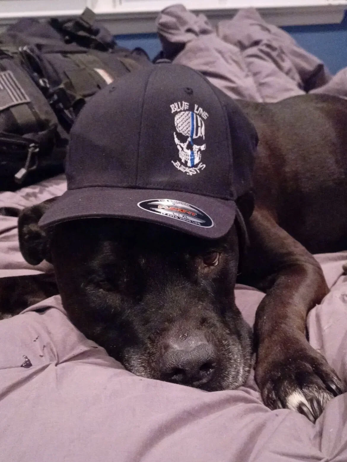 71C23C93-1AE2-4EBC-B557-438D4B6A8CE7