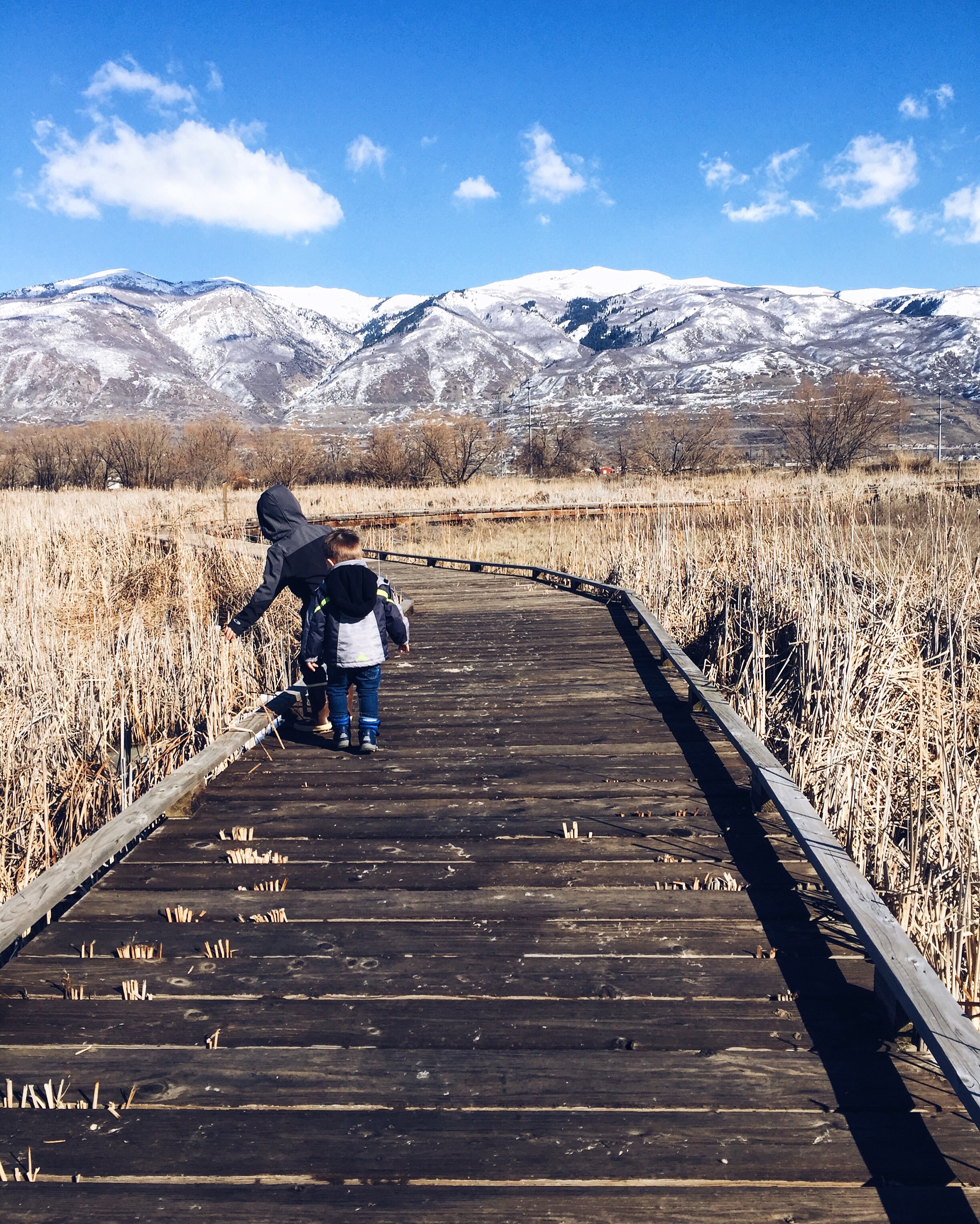 cattails and kites: our homeschool day