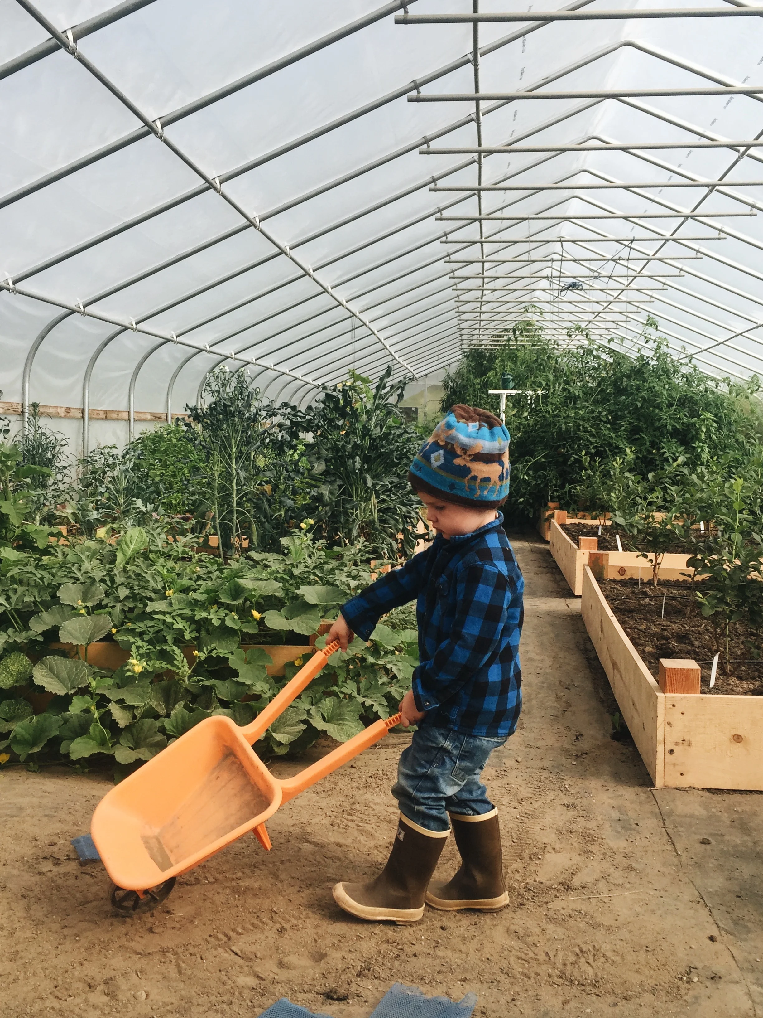 Greenhouse goals. 