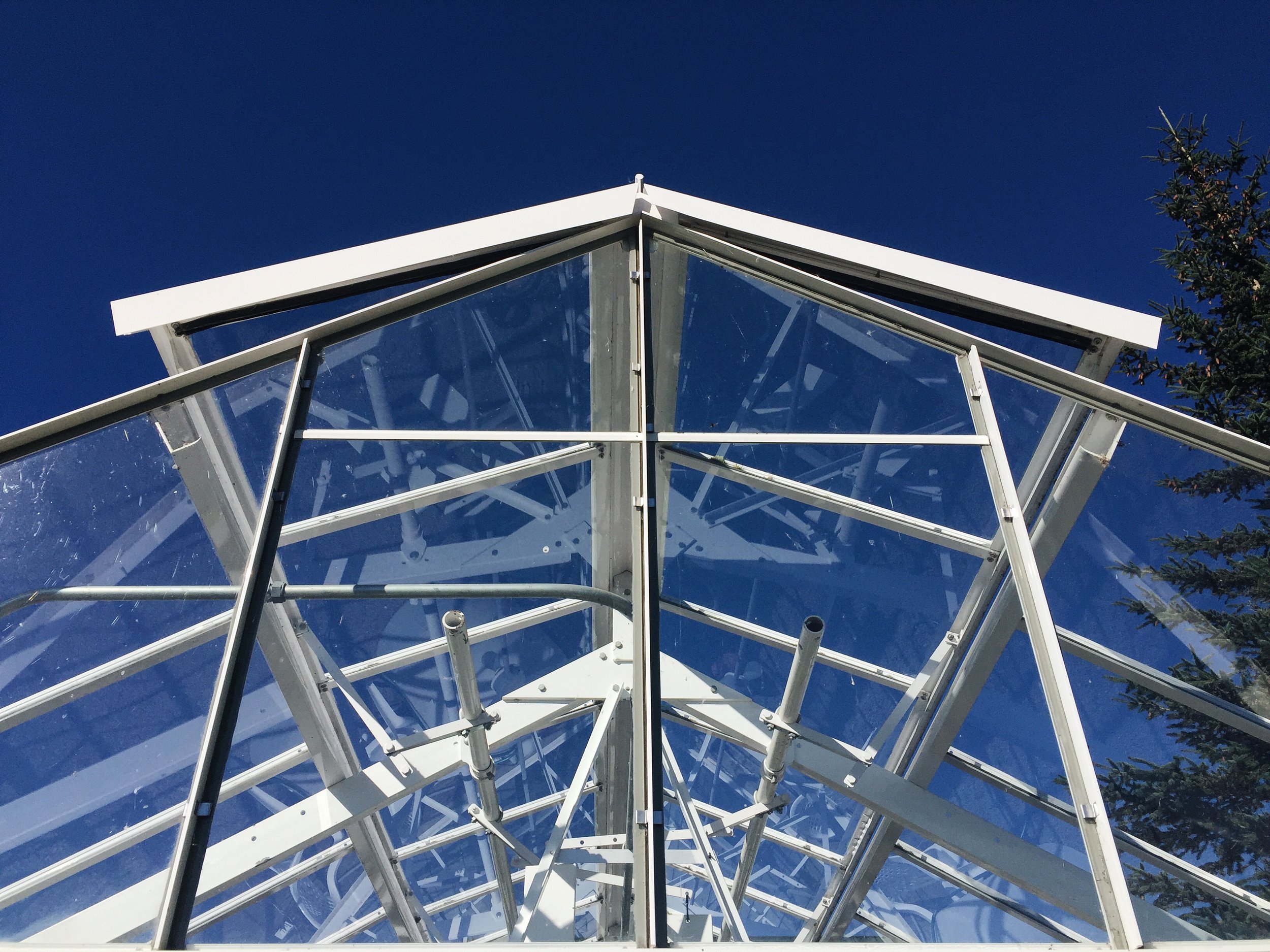 The glass house. What a dreamy spot!