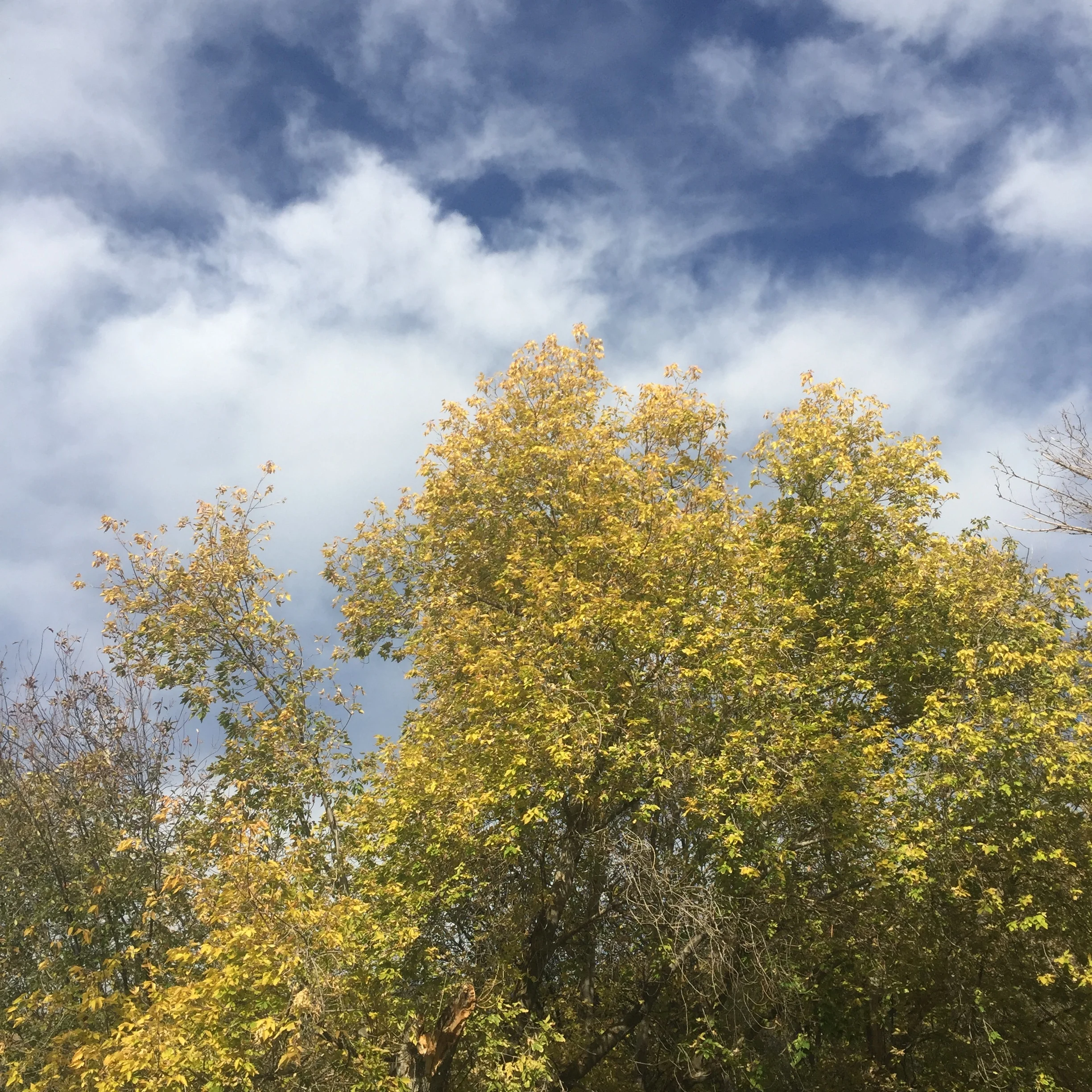 grumpiness and a gorgeous autumn day