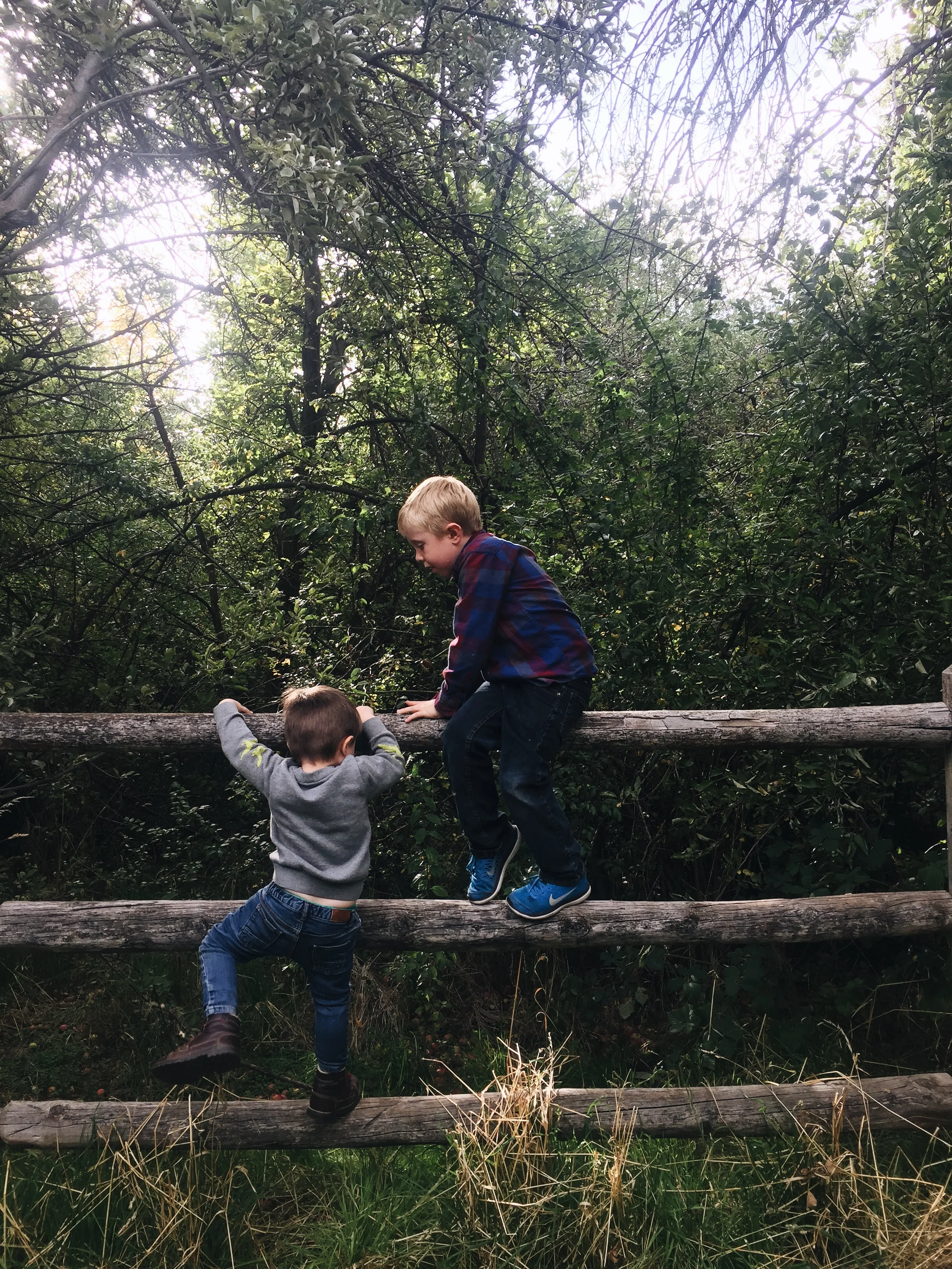 Constantly doing all they can to explore the world. What an incredible place to be. 