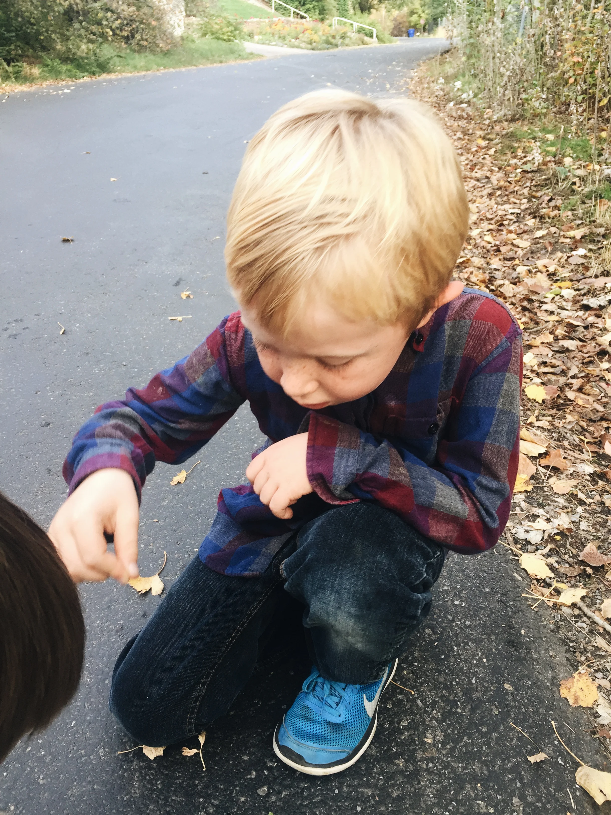 Matthew found a dead bee and was so concerned about it. I love his tender heart.