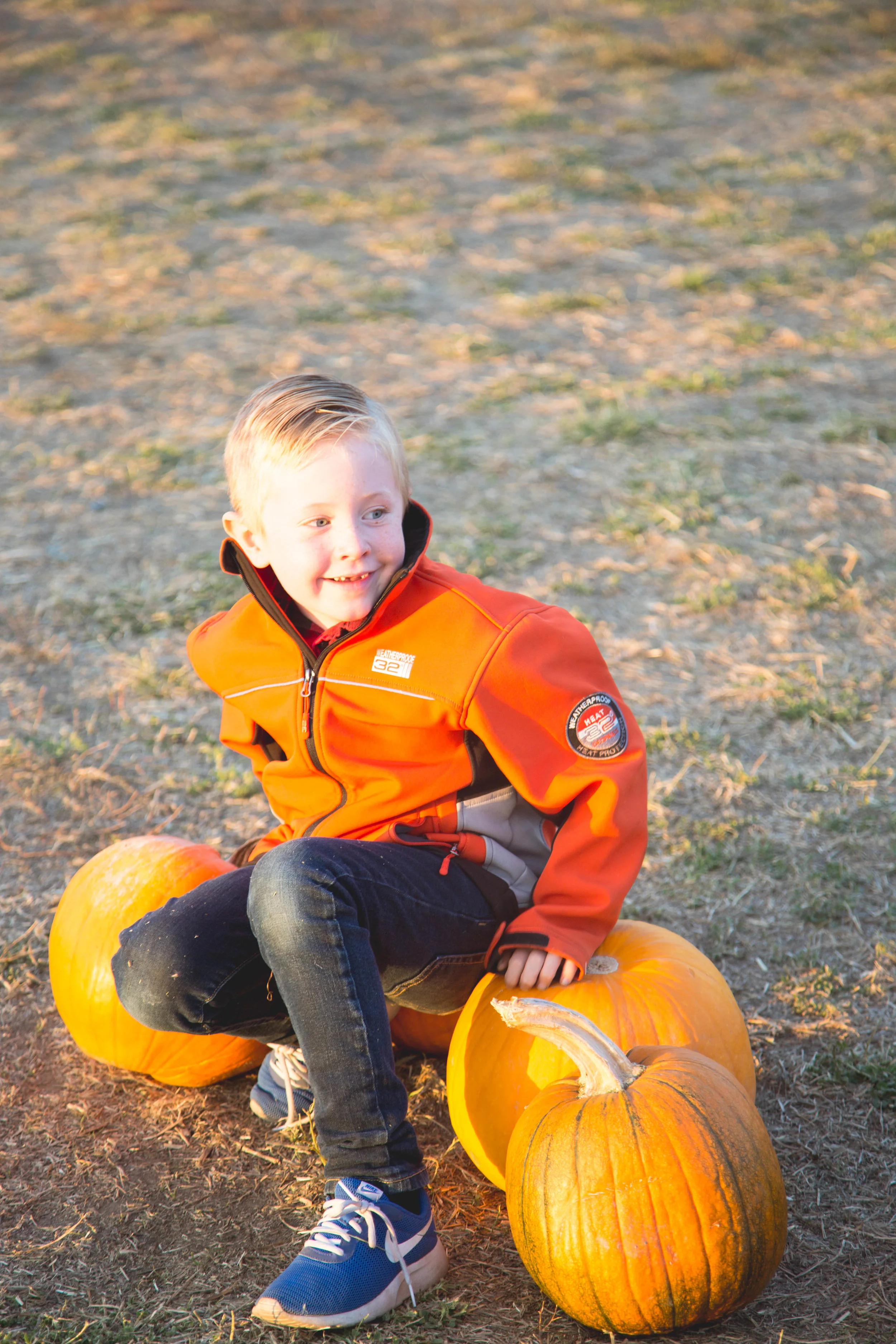 matthew pumpkin patch2-1.jpg