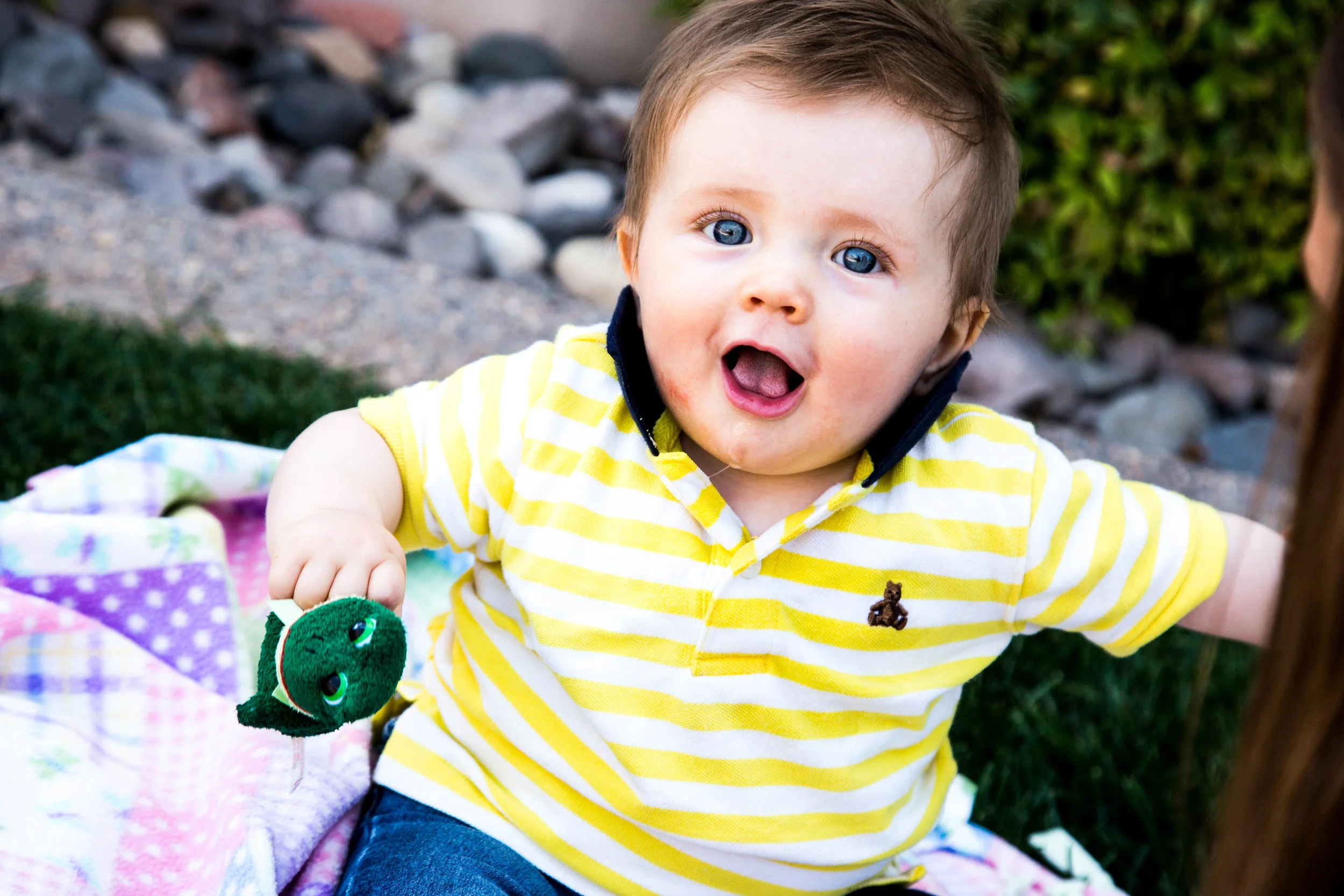 lijah on grass-1.jpg