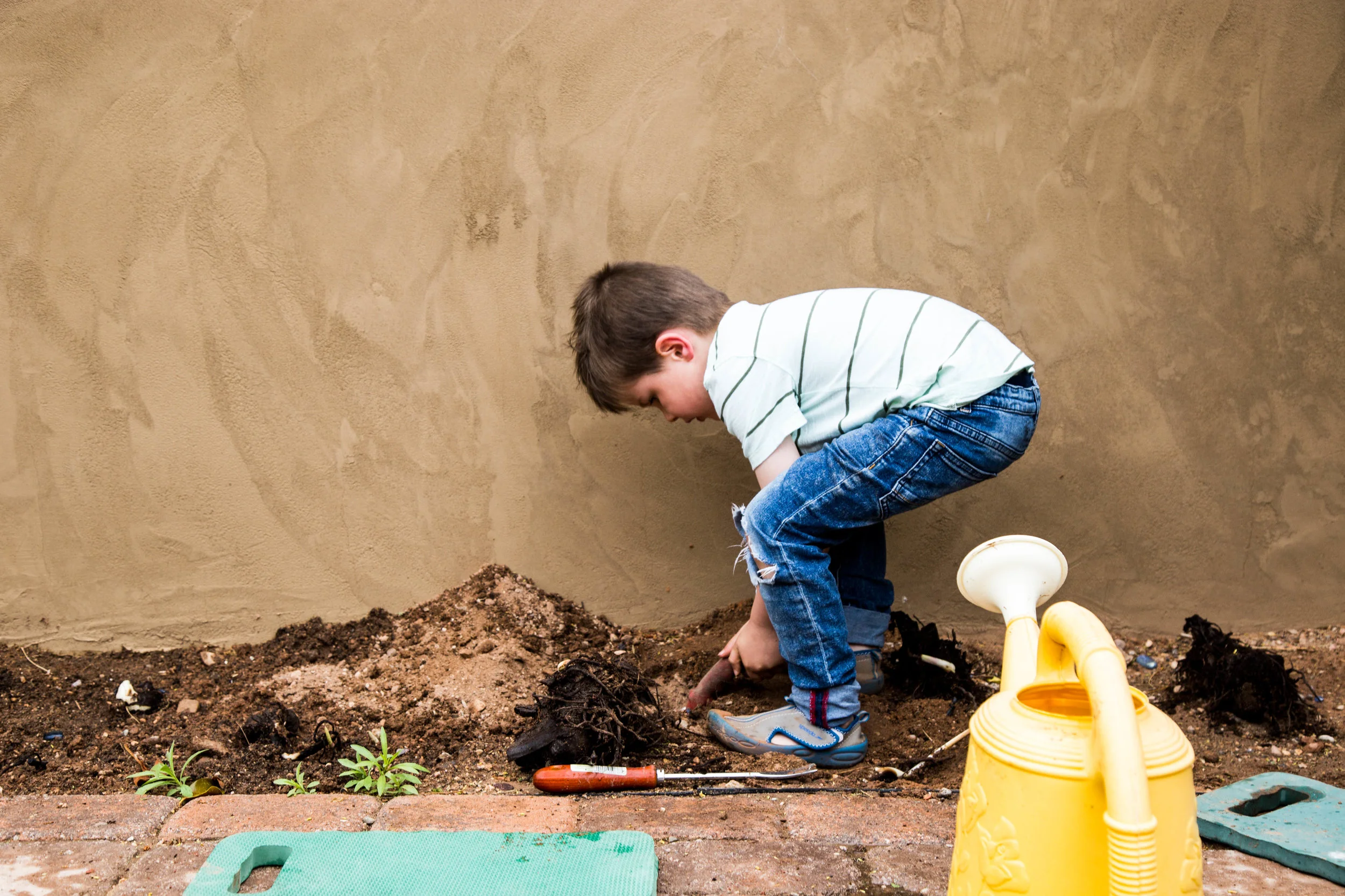 abe gardening2-1.jpg