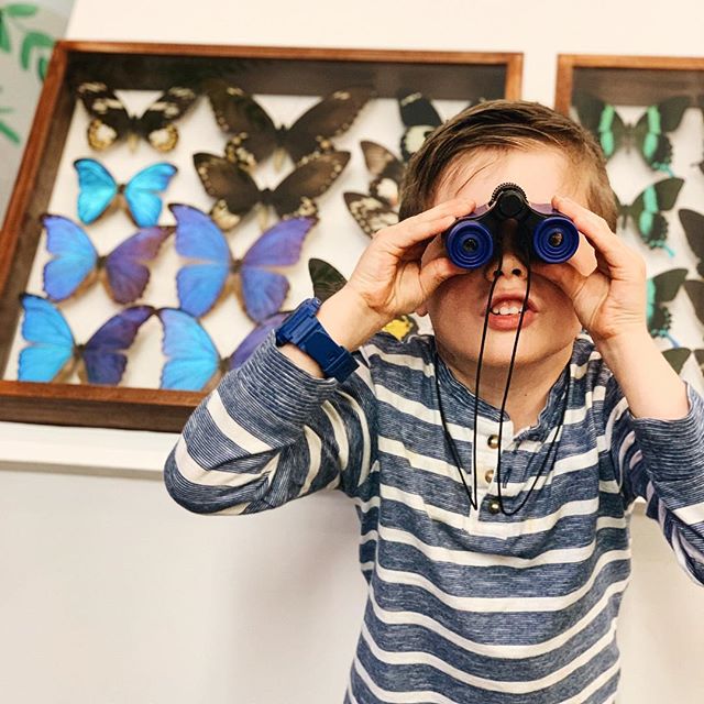 Today we visited the wildlife museum! It was amazing to see wildlife from all over the world. I am continually amazed at the beauty and variety that surrounds us. My favorite exhibit was the butterflies! 🦋