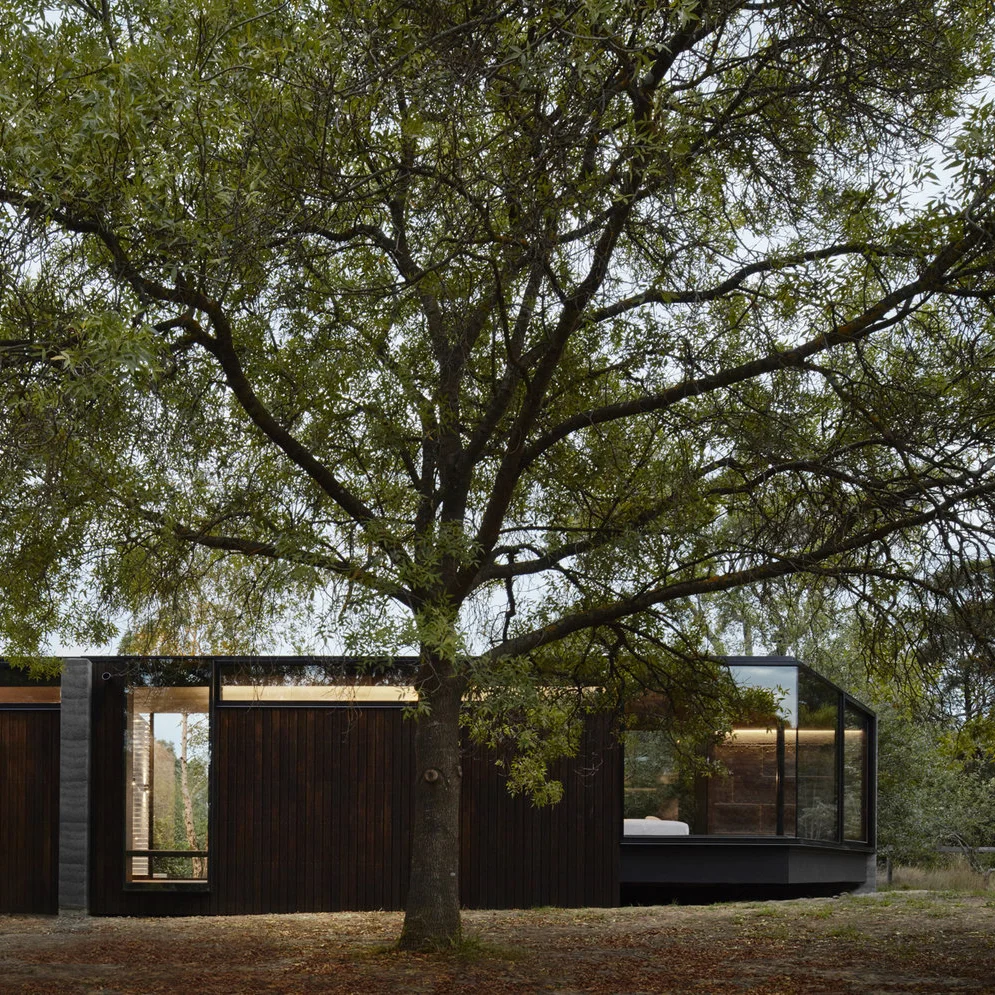 Branch Studio Architects