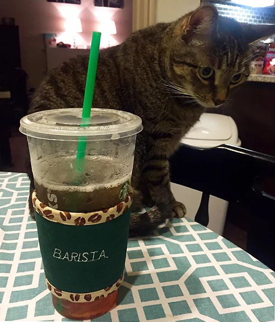 Kollar Barista Trenta Sweet Tea Molly cat Nala_72.jpg