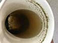 Tea Drops_Sediment.jpg