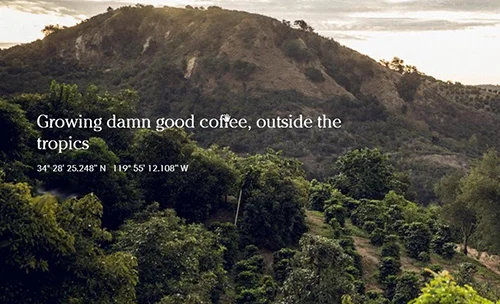 Frinj Coffee company website banner, https://frinjcoffee.com/