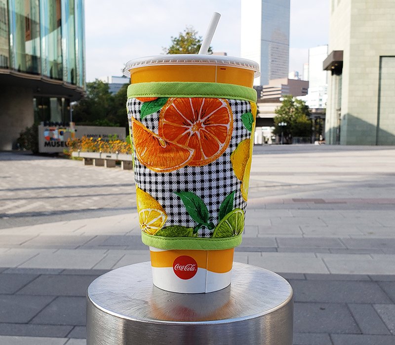 Large Kollar FL citrus on checks Denver museum 800x699.jpg