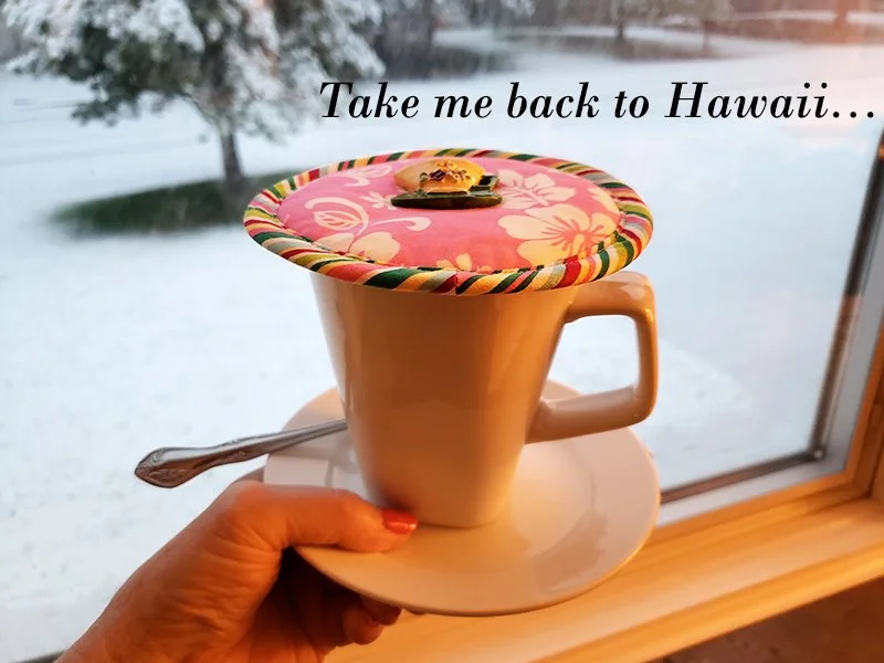 Kap HI Pink Hibiscus snow 800x600 Text.jpg