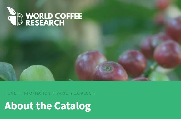 World Coffee Research