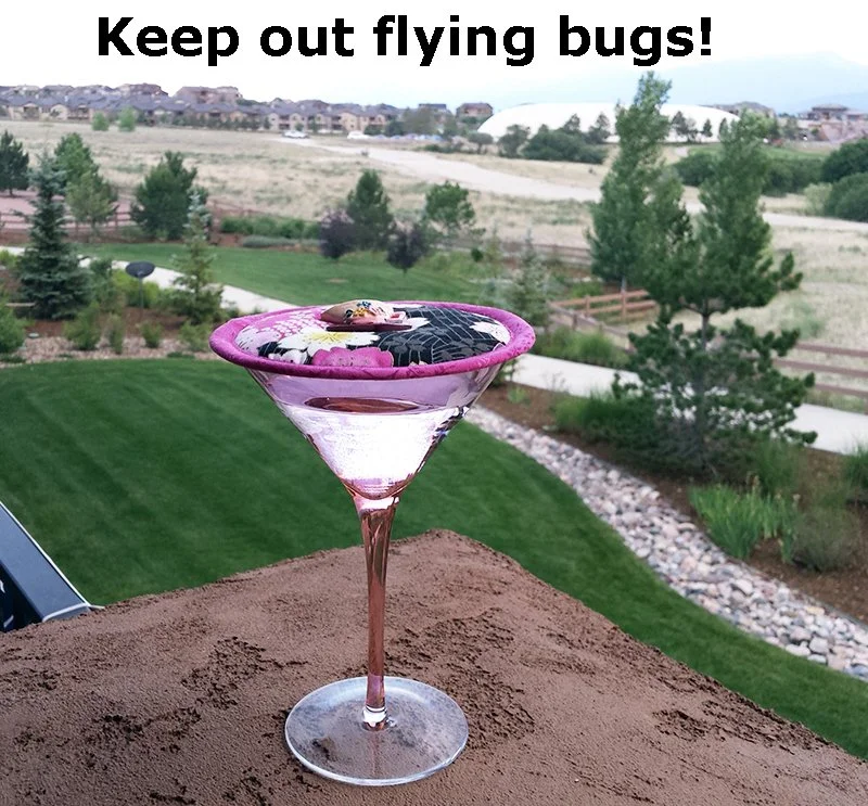 Kap Pink Blossoms wine glass Burns railing 800x743text.jpg