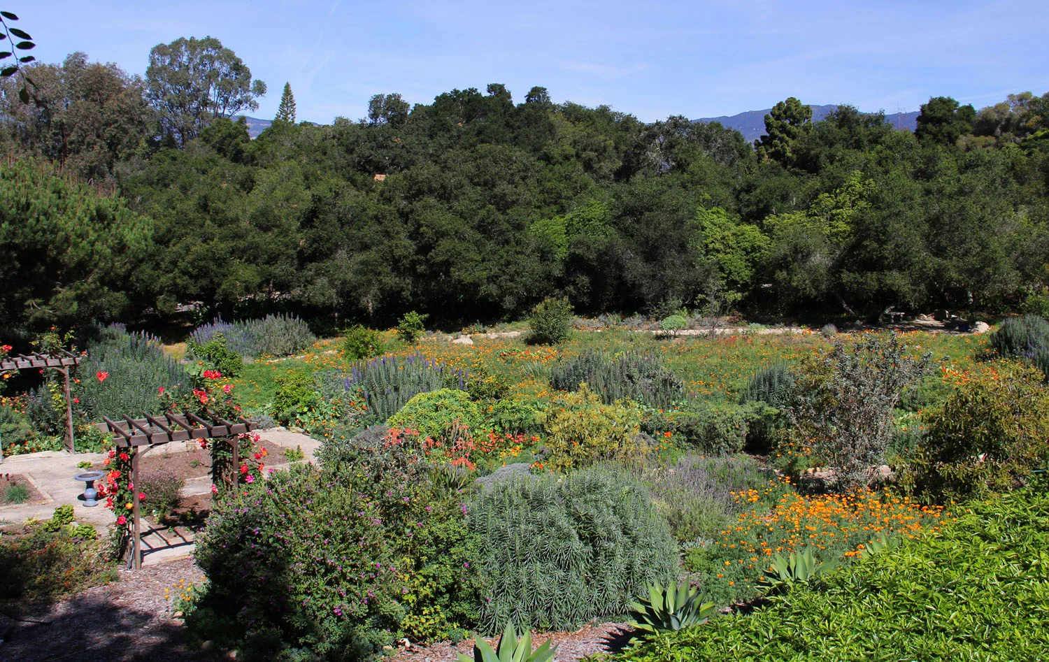 Cuervo_garden_feature1.jpg