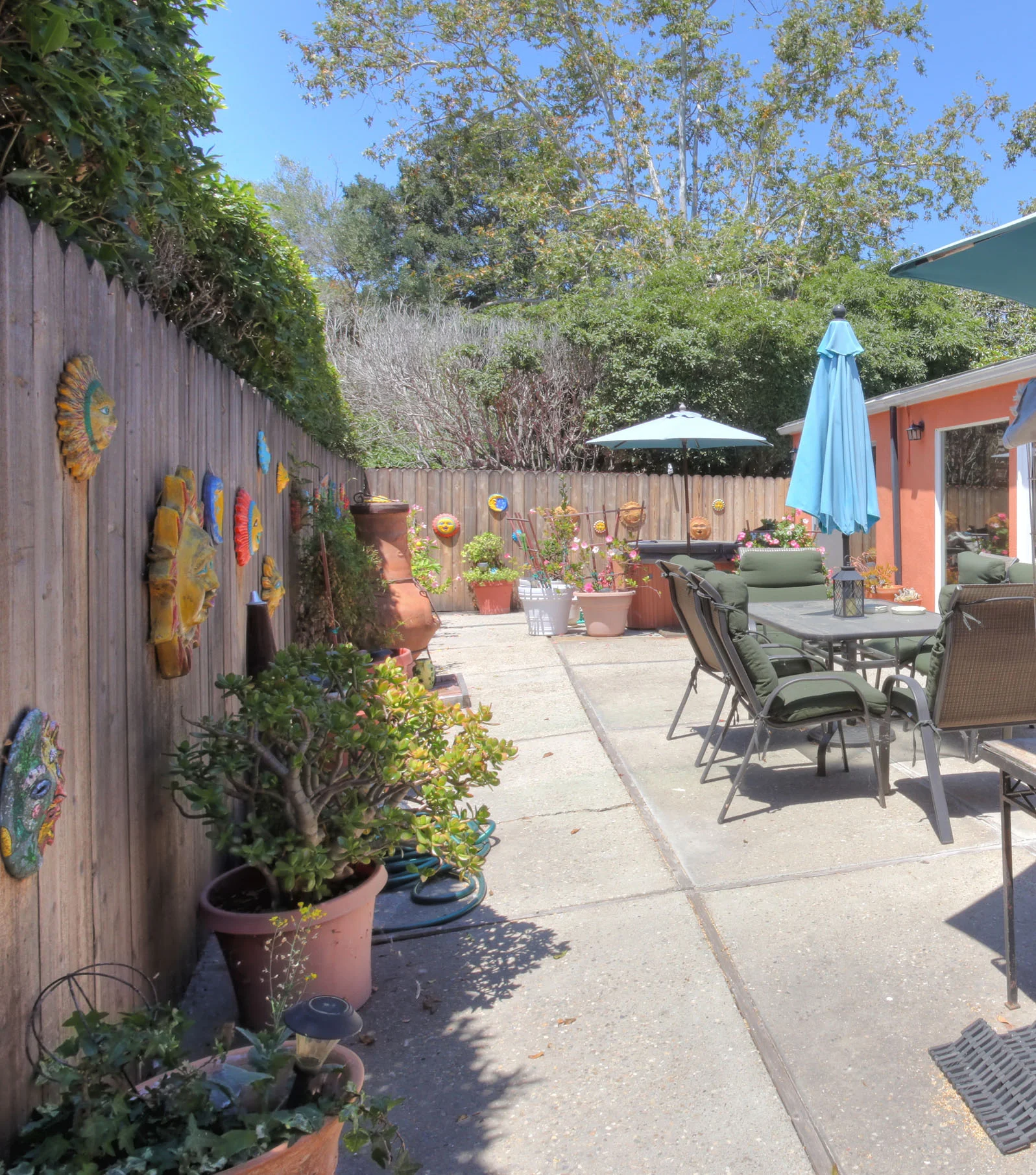 Cuervo_garden_feature2.jpg