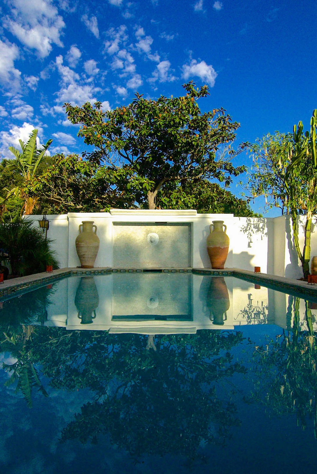 Cuervo_garden_feature2.jpg