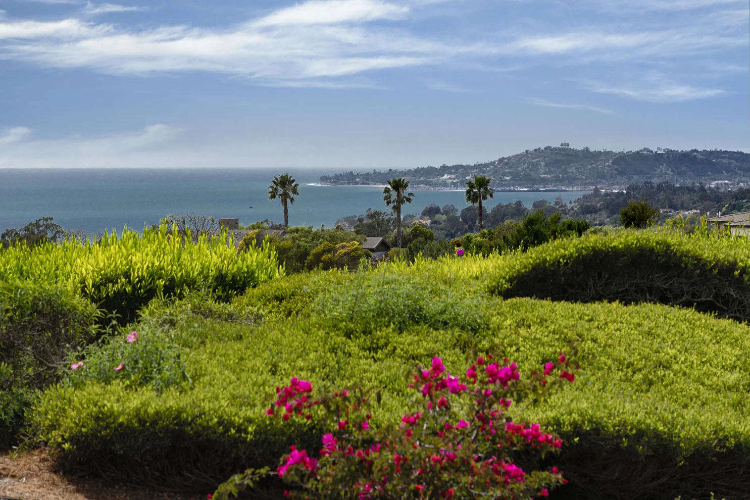 2250OrtegaRanch_16web.jpg